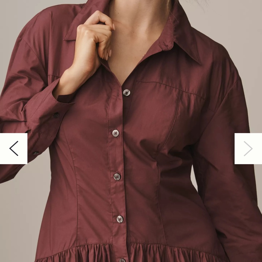 Anthropologie Burgundy Button-Down Dress Shirt